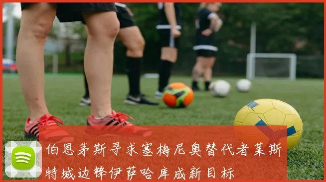 伯恩茅斯寻求塞梅尼奥替代者莱斯特城边锋伊萨哈库成新目标